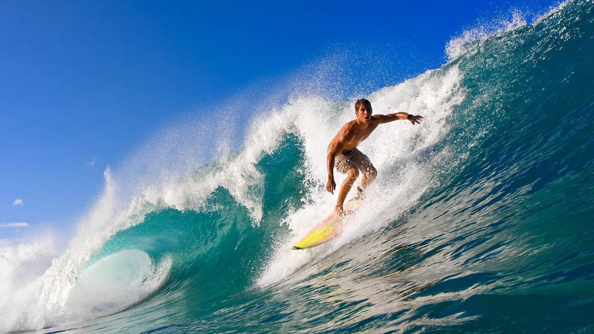 谁给了球迷训话的权力?现代体育观赛文化的冲突与反思