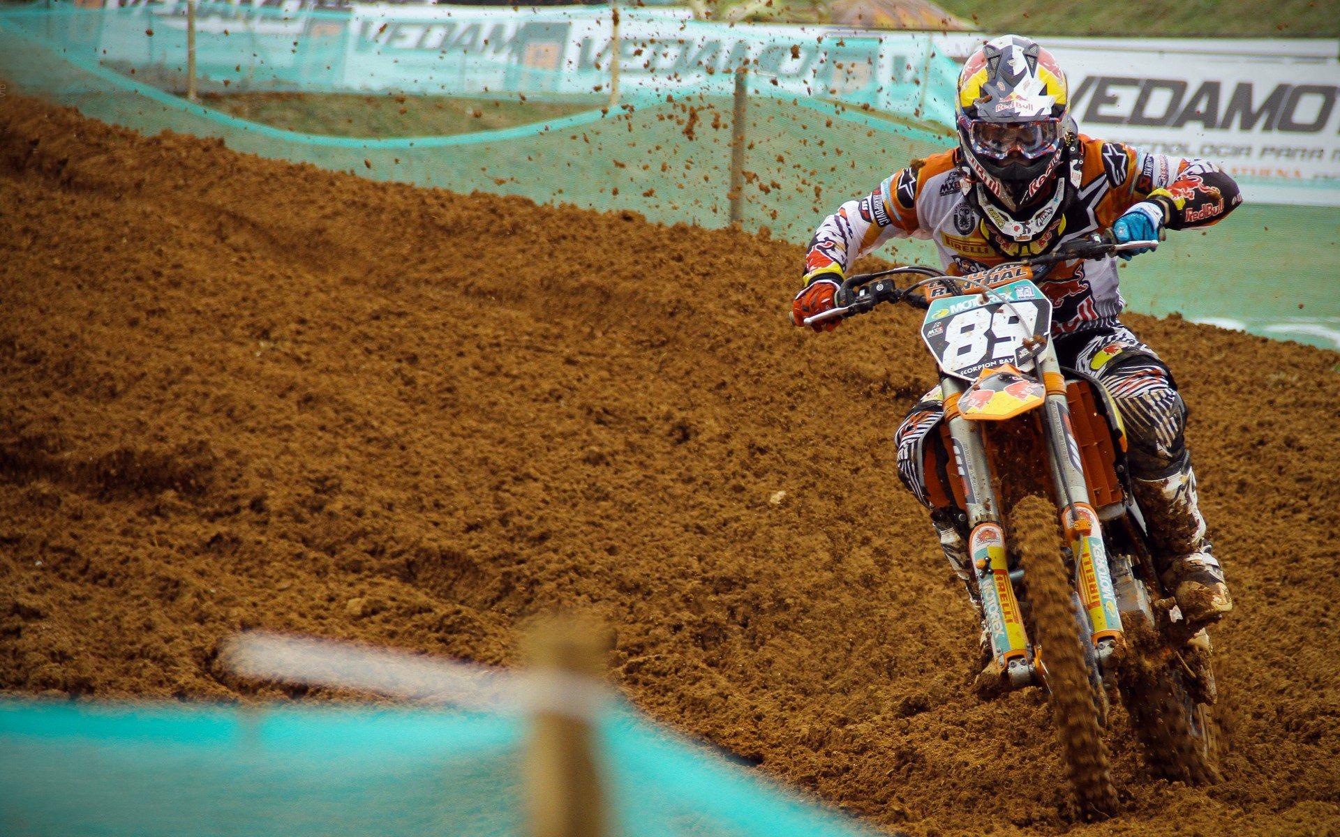 意甲新星引英超双雄竞逐，博洛尼亚为天才标价半亿欧元